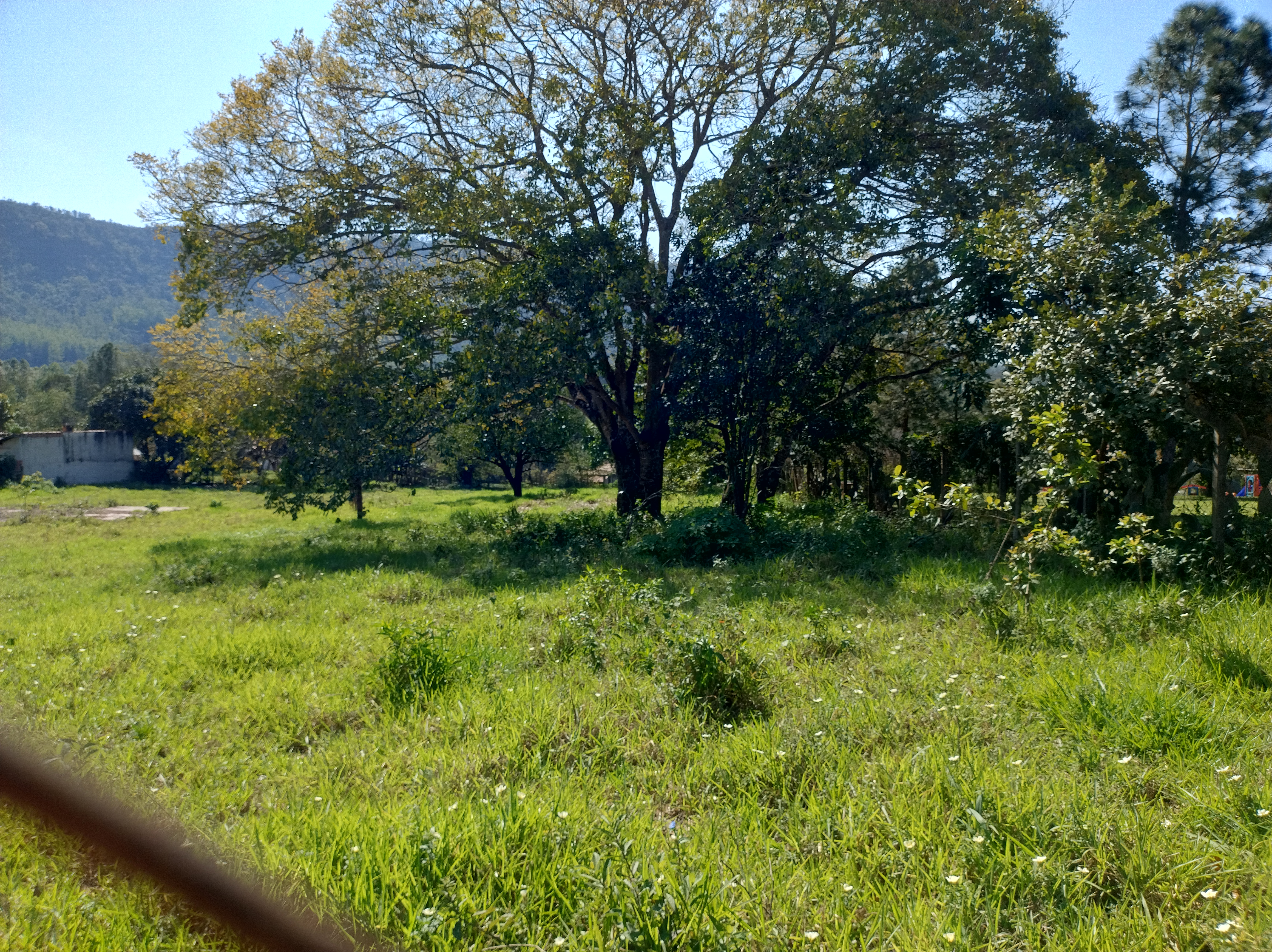 Chácara  - foto 5