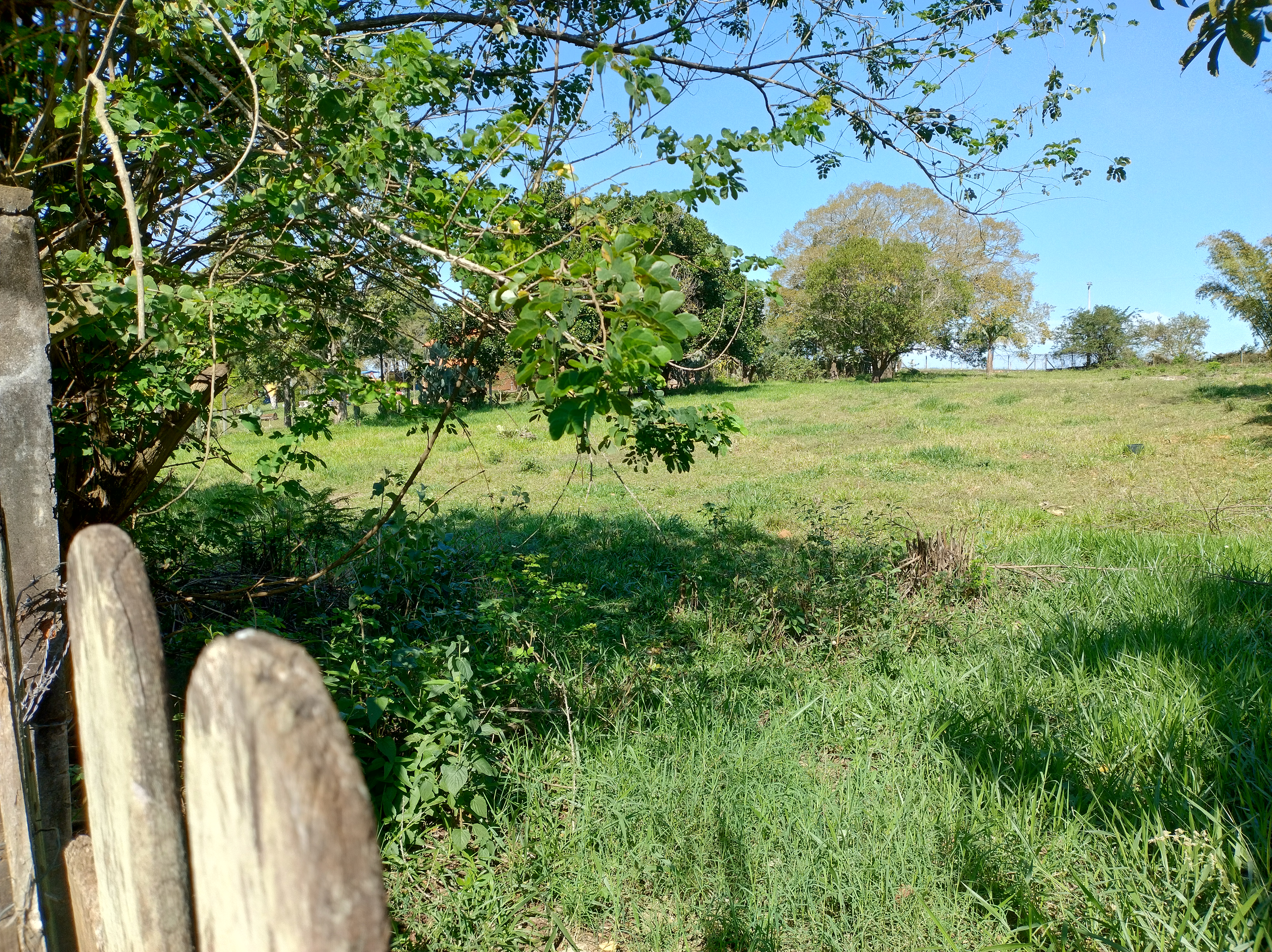 Chácara  - foto 6